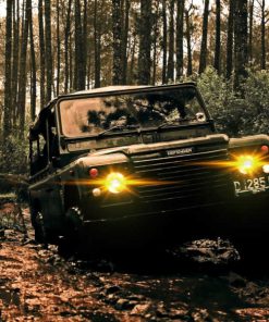 Off Road Day, Krakow, Bumper Ball Experiences